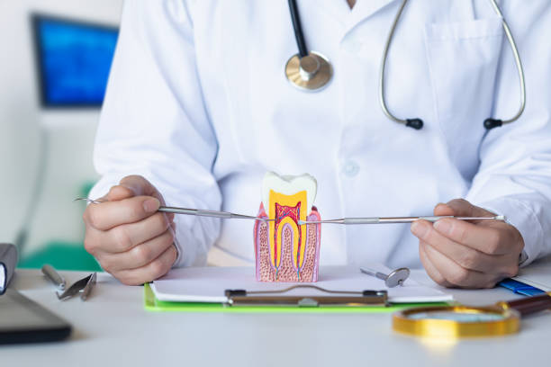 Best Emergency Dental Extractions in Harlingen, TX